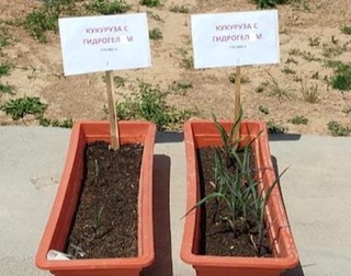 Янги нанокомпозицион қўшимчали пленка ишлаб чиқариш технологияси яратилди