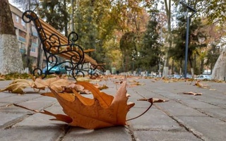 Прогноз погоды на 17 декабря