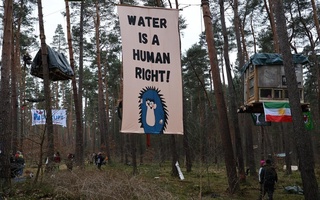 Opponents of the construction of the Tesla plant near Berlin refused to descend from the trees