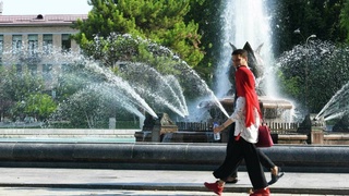 Weather forecast for August 19th