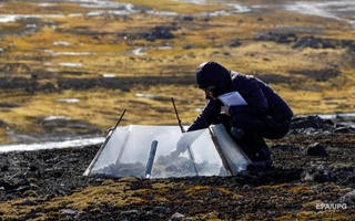 Антарктидада ўсимликларнинг ўсиши тезлашган