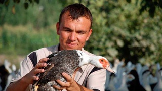 Приусадебный участок - неиссякаемый источник дохода