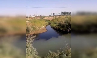 Andijondagi kanal korxonadagi avariya sababli neftga toʻldi