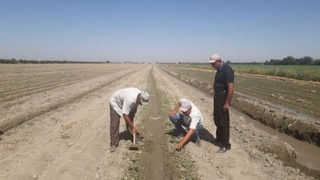 Самарқандда 140 мингдан ортиқ фуқароларга такрорий экинлар экиш учун ер ажратилади