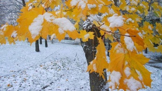 Ҳафталик об-ҳаво: тоғли ҳудудларда қор ёғади