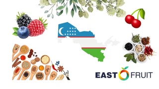 Плодоовощеводство Узбекистана: неиспользованные возможности и незанятые ниши