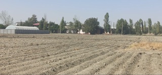 Муаммолар аниқланди ва аксарияти ҳал этилди