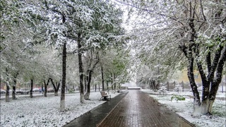 Прогноз погоды на 25 февраля