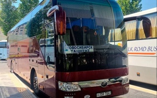 Узбекистан запускает автобусное сообщение с Новосибирском и Омском