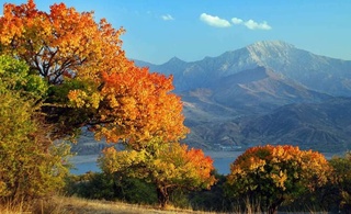 Прогноз погоды на 8 сентября