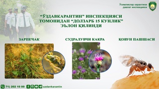 “Ўздавкарантин” инспекцияси томонидан “Долзарб 15 кунлик” эълон қилинди