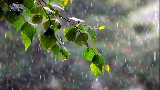 Прогноз погоды на 8 апреля