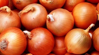 Цены на лук в Узбекистане начали расти на фоне роста экспорта в Евросоюз