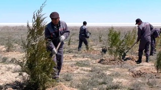 Решение проблемы в комплексном подходе и общественном участии