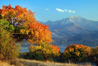 Weather forecast for November 8th