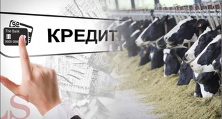 В Сырдарьинской области выявлено хищение кредитных средств на сумму 2,9 млрд сумов