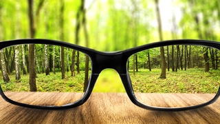 8 октября – Всемирный день зрения