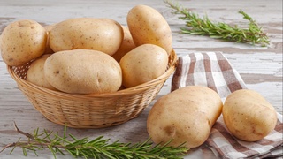 Amerikalik olimlar kartoshkani sabzavot deb atamaslikni talab qilishdi