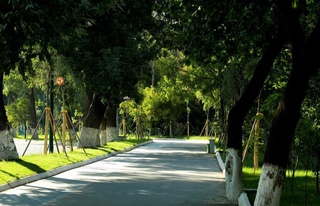 Осы аптада ыстық аздап төмендейді деп күтілуде