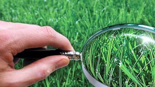 Ёмғирли об-ҳаво экин майдонлари ва боғларга қандай зарар келтиради?