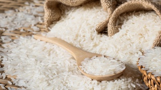 Oʻzbekistonda guruch zahiralari yetarli, havotirga oʻrin yoʻq — Qishloq xoʻjaligi vazirligi