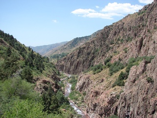 Ўрмон хўжалиги давлат қўмитаси тизимида Ўрмон хўжалиги техникуми ташкил этилади