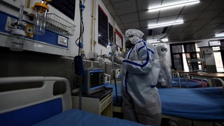 Metro: Ҳиндистонда давоси йўқ Нипах вируси тарқалмоқда