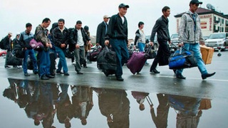 Хорижда қийин аҳволда қолган меҳнат мигрантларини моддий қўллаб-қувватлаш тизими кенгайтирилмоқда