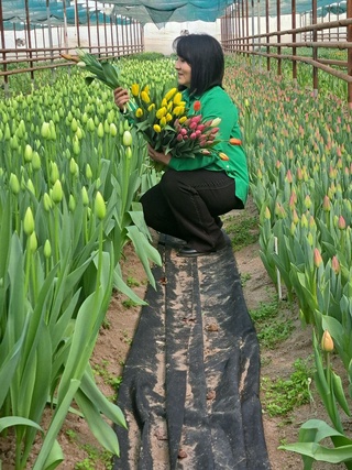 Ташқарида аёмажуз, ичкарида эса дилни энтиктирувчи  кўкламой