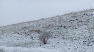 Hafta boshida ayrim hududlarda harorat -13 darajagacha tushib ketishi mumkin