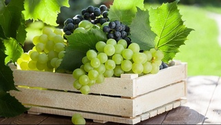 Ўзбекистон 11 ойда қанча узум экспорт қилгани маълум бўлди