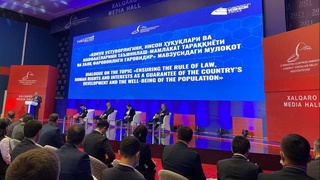 Ҳаракатлар стратегиясини рўёбга чиқариш учун 311 та қонун қабул қилинди, шундан 80 таси мутлақо янги қонун