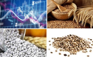 На Узбекской республиканской товарно-сырьевой бирже снизились цены на пшеницу, аммофос и технические семена