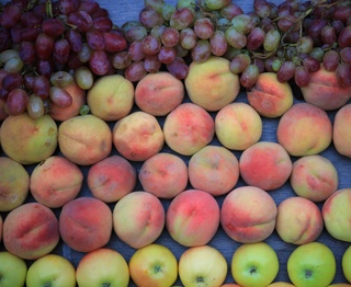 “Rossiya temir yoʻllari” oʻzbek meva va sabzavotlarini tashishga 50 foiz chegirma joriy etdi