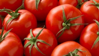 Ученые США узнали, как повысить полезность томатов