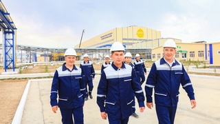 Трансформация қандай манфаат келтиради?