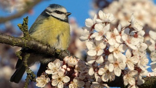 Weather forecast for March 10