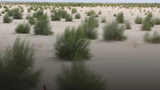 Чанг бўронларига қарши курашиш бўйича миллий дастур тасдиқланди