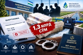 В Навоийской области выявили хищение 1,3 млрд сумов бюджетных средств