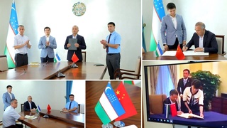 Лимоны, выращенные в Узбекистане, теперь экспортируются в Китай