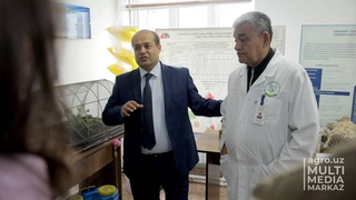 Подписано соглашение о сотрудничестве между Министерством сельского хозяйства и лабораториями НИИ Узбекистана