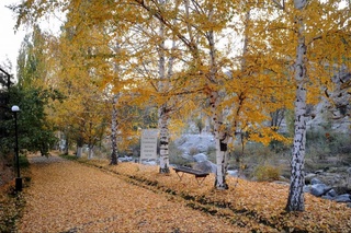 Ноябрь ойи совуқ ва нам бўлиши кутилмоқда