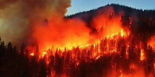 Луизиана штатини ўрмон ёнғинлари қамраб олди