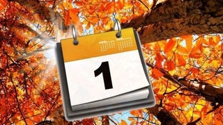 Mamlakatimizda 1-noyabrdan nimalar oʻzgaradi