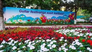 Лучшие цветоводы получат ключи от автомашин