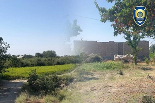 В двух регионах выявлены случаи незаконного оформления кадастровых документов на земли фермерских хозяйств