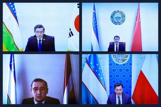 В Сенате заслушаны отчеты послов