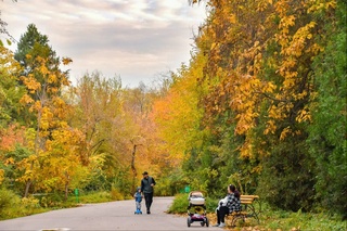 13 октябрдан ҳаво совий бошлайди