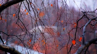 Байрам кунлари қандай об-ҳаво кутилади?