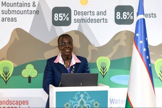 COP28: укрепляется международное сотрудничество по превращению Приаралья в климато-устойчивый регион